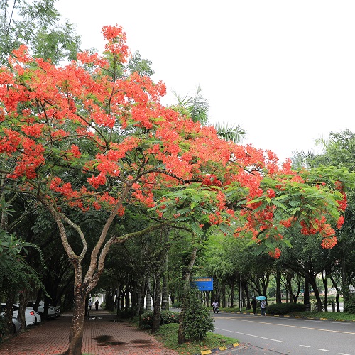 9Y7A7631 - 副本.jpg