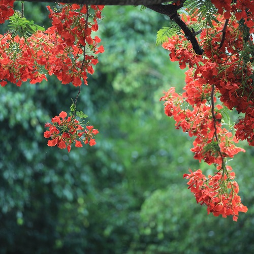 9Y7A7601 - 副本.jpg