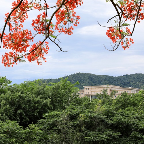 9Y7A7901 - 副本.jpg