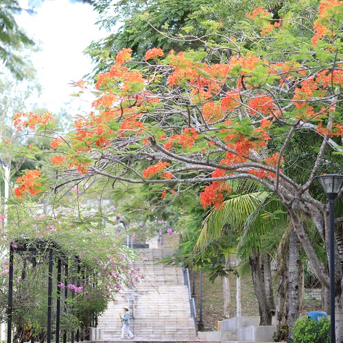 9Y7A5683 - 副本.jpg