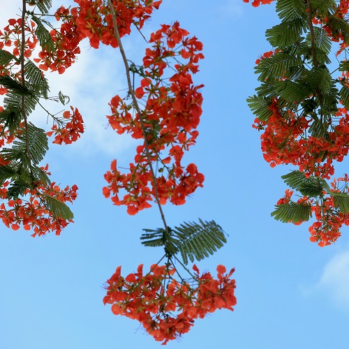 9Y7A5665 - 副本.jpg