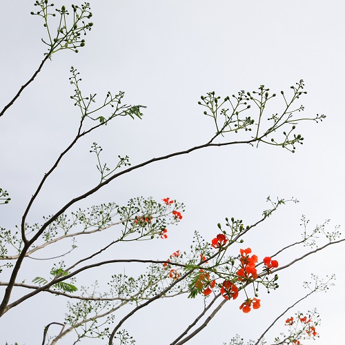 9Y7A8046 - 副本.jpg