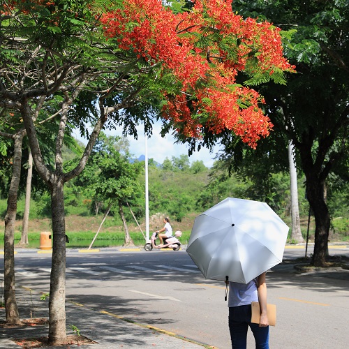 9Y7A5761 - 副本.jpg