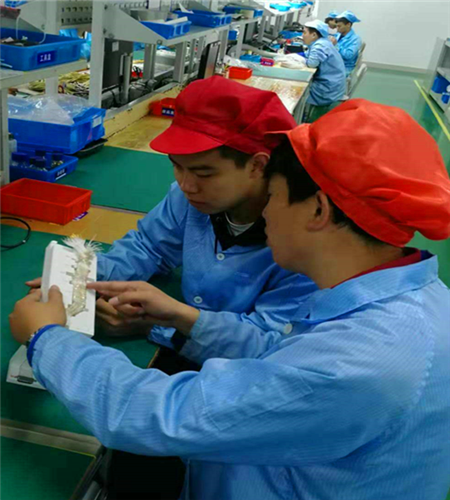 图片2_副本.png