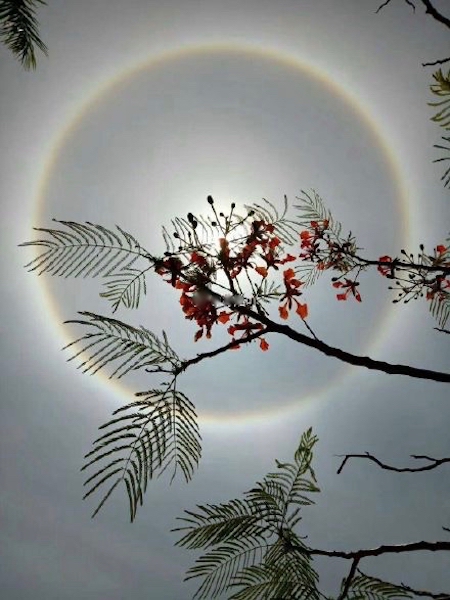 微博1 (1)的副本.jpg