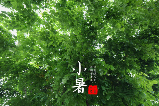 图片11.png 图片11.png