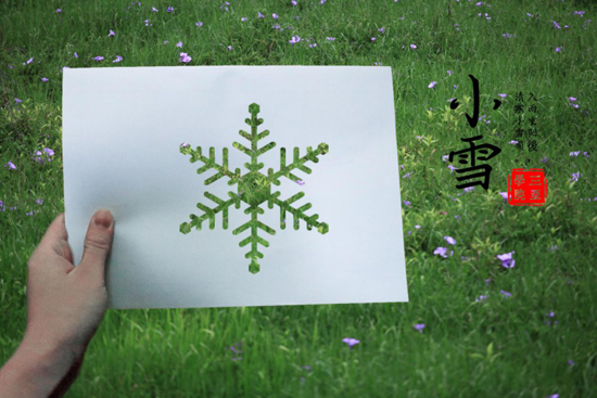 图片20.png 图片20.png