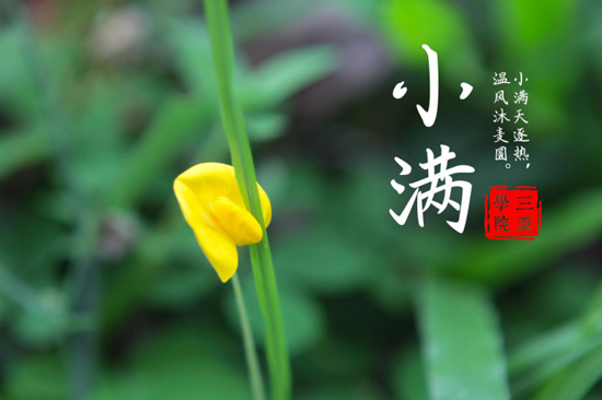 图片8.png 图片8.png