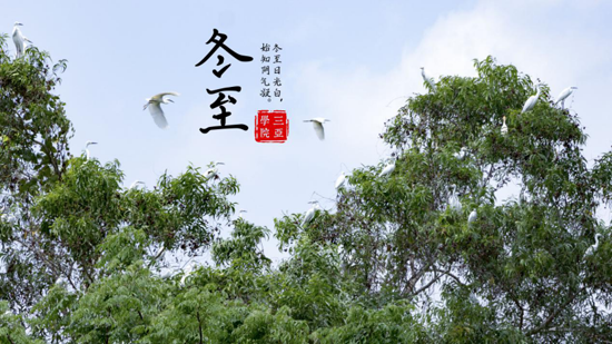 图片22.png 图片22.png