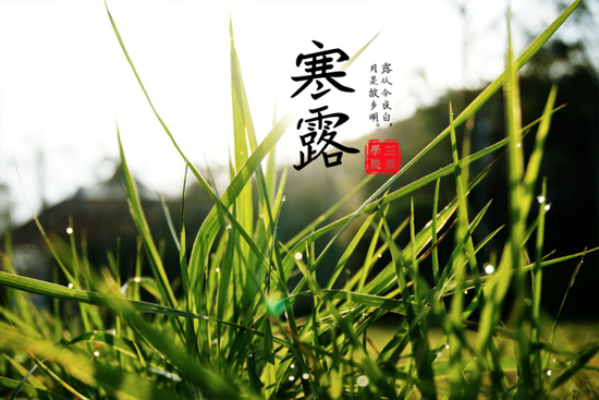 图片17.png 图片17.png