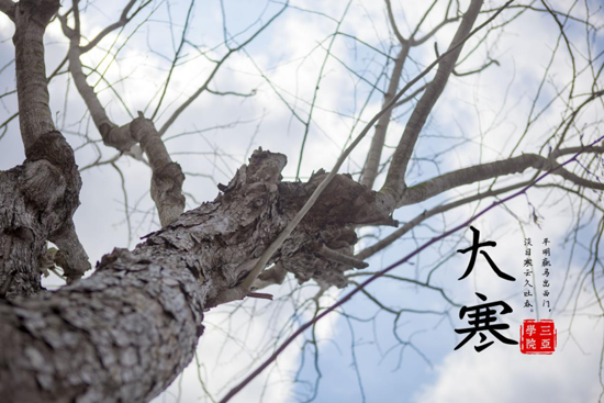 图片24.png 图片24.png