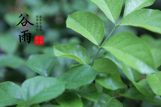 图片6.png 图片6.png