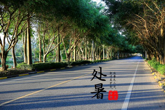 图片14.png 图片14.png