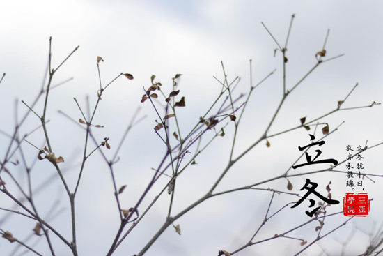 图片19.png 图片19.png