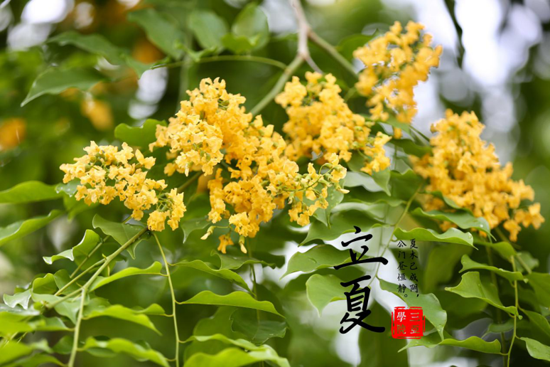 图片7.png 图片7.png