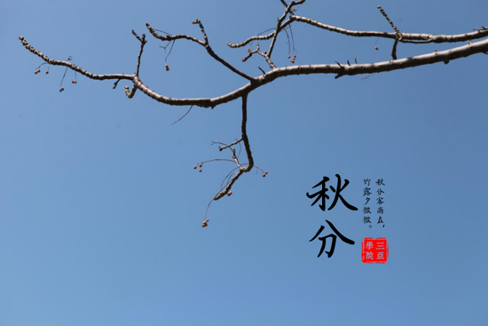 图片16.png 图片16.png