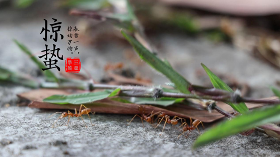 图片3.png 图片3.png