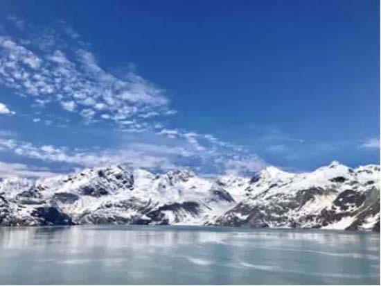 15.webp.jpg 15.webp.jpg