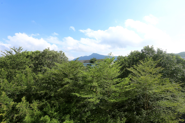 AP0A7971副本.jpg AP0A7971副本.jpg