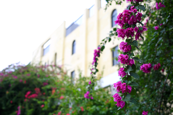 AP0A7712副本.jpg AP0A7712副本.jpg