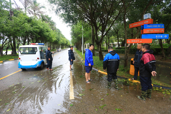 AP0A7372副本.jpg AP0A7372副本.jpg