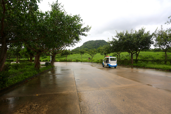 AP0A7551副本.jpg AP0A7551副本.jpg