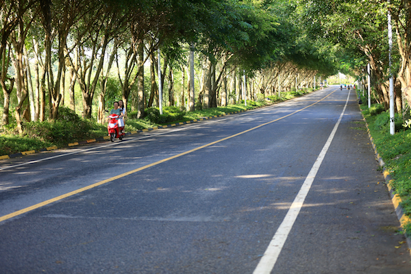 AP0A8065副本.jpg AP0A8065副本.jpg