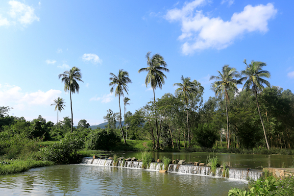 AP0A8064副本.jpg AP0A8064副本.jpg