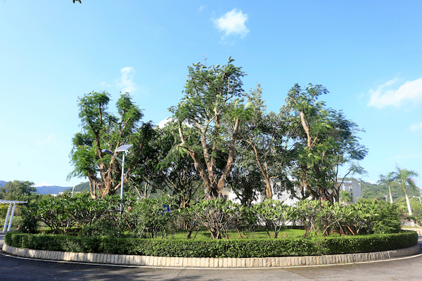 AP0A8075副本.jpg AP0A8075副本.jpg