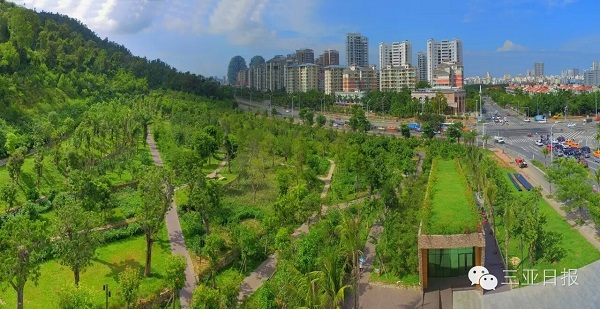 19.jpg