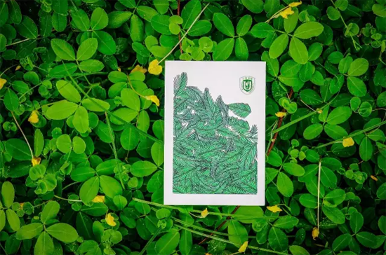 图片3.png 图片3.png