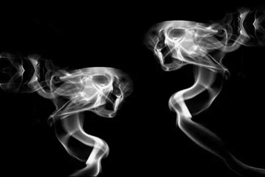 1.webp.jpg 1.webp.jpg