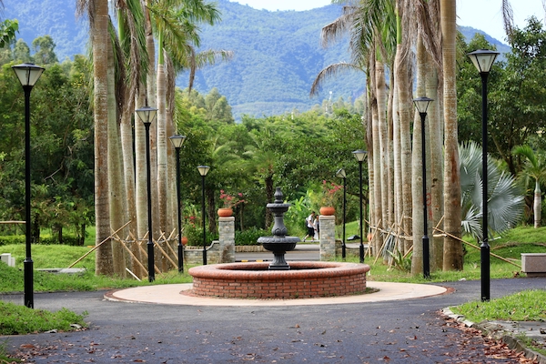 AP0A5255的副本.jpg AP0A5255的副本.jpg