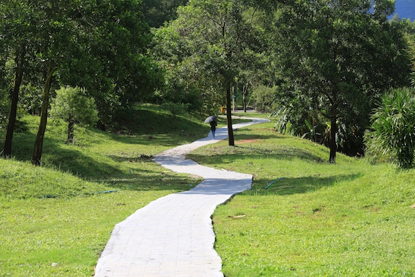 AP0A5242的副本.jpg AP0A5242的副本.jpg