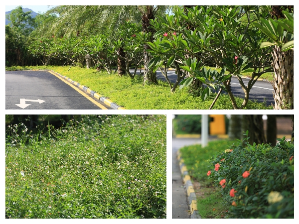 拼图2.jpg 拼图2.jpg