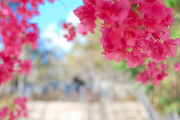 IMG_9678的副本.JPG