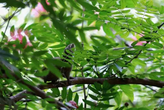 2.webp.jpg 2.webp.jpg