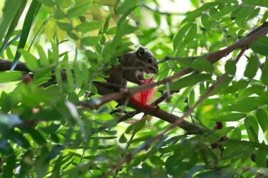 3.webp.jpg 3.webp.jpg