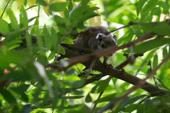 4.webp.jpg 4.webp.jpg