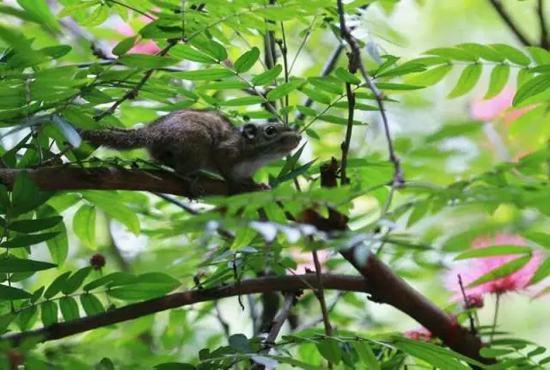 1.webp.jpg 1.webp.jpg