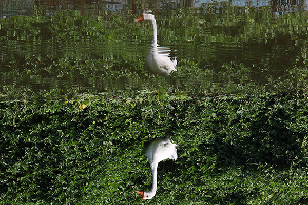 n22.jpg