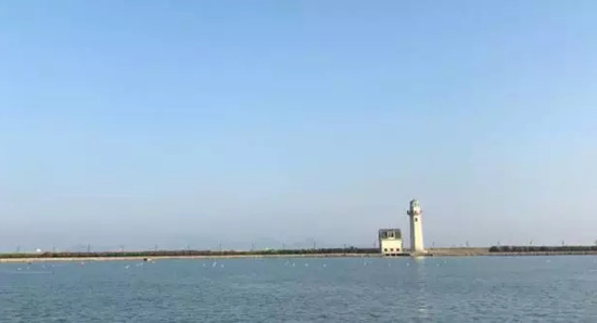 5.webp.jpg 5.webp.jpg