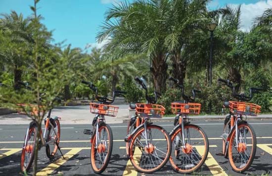 15.webp.jpg 15.webp.jpg