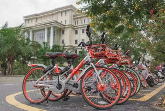 14.webp.jpg 14.webp.jpg