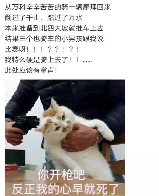 7.webp.jpg 7.webp.jpg