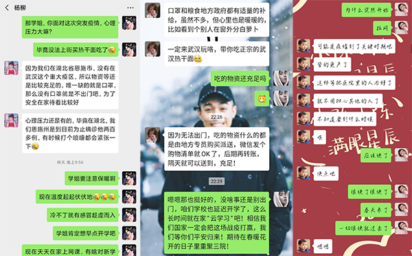 16 杨柳 (1).png