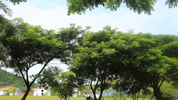 AP0A0883副本.jpg