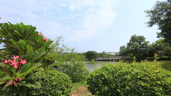 AP0A0951副本.jpg