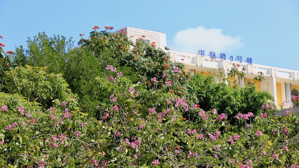AP0A5689 (1)的副本.jpg