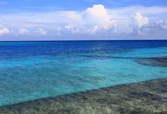 22.webp.jpg 22.webp.jpg